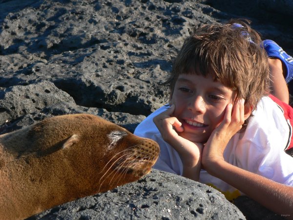 155- Bastien et l'otarie 